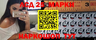 гашик Кандалакша